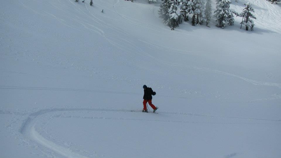 Vancouver Island Backcountry